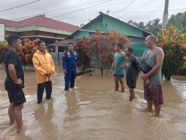 WhatsApp Image 2025-04-24 at 4.34.47 PM