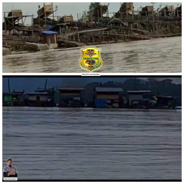 WhatsApp Image 2025-04-24 at 9.12.09 PM