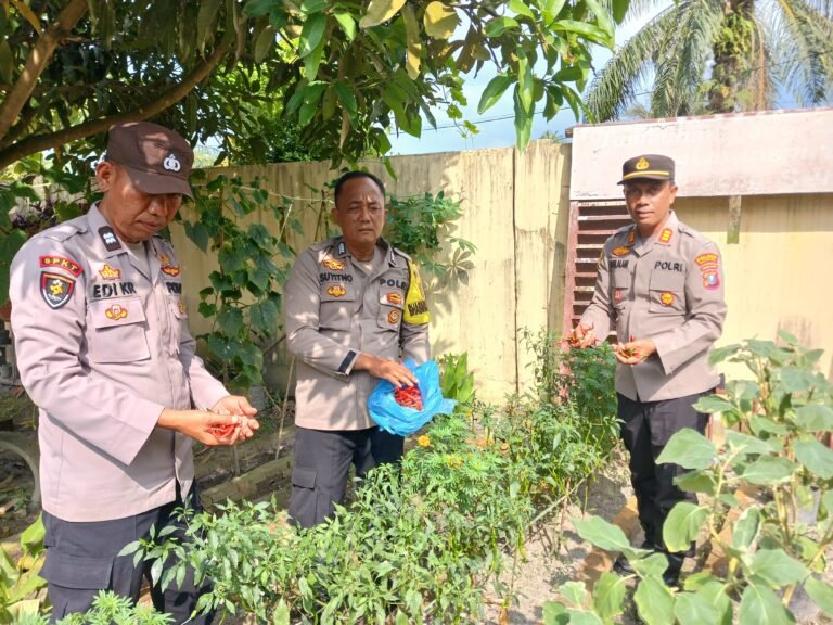 WhatsApp Image 2025-04-26 at 5.28.09 PM