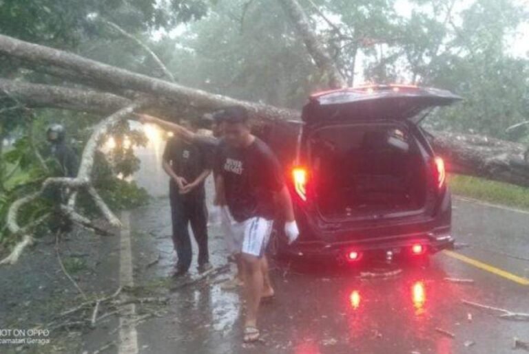 IMG-20250513-WA0126(2)